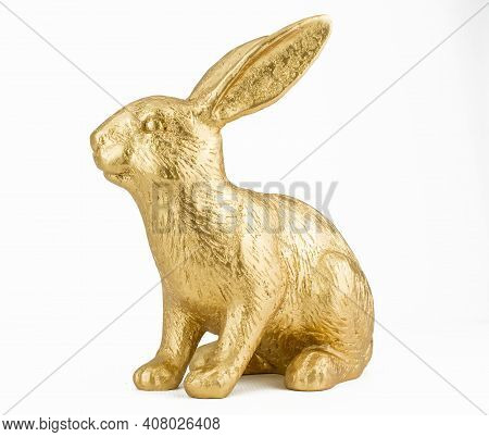 Beautiful Gold Big Rabbit On White Background