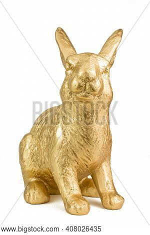 Beautiful Gold Big Rabbit On White Background
