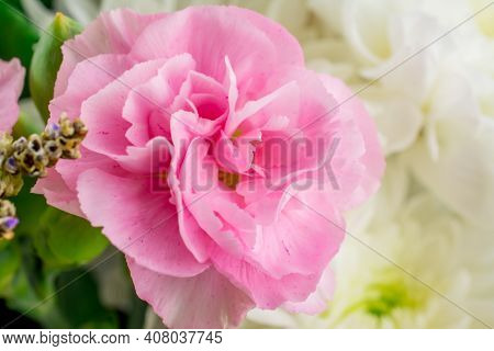 Bouquet Of Beautiful  Flower  On Pink Background