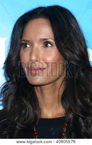 LOS ANGELES - JAN 7: Padma Lakshmi navštěvuje NBCUniversal 2013 TCA zimní tisková Tour v Langham H