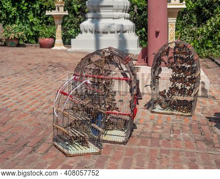 Birds In Cages At Wat Phnom In Phnom Penh, Cambodia. Visitors To The Temple Can Pay A Fee To Release