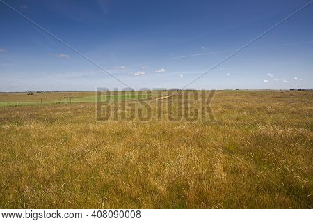 Extensive Dry Farming Of Cereals In The Castro Verde Special Protection Area. It Is The Most Represe