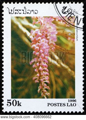 Laos - Circa 1996: A Stamp Printed In Laos Shows Toothbrush Orchid, Dendrobium Secundum, Is A Specie