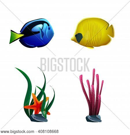 Sea Fish And Plants Isolated On White Background