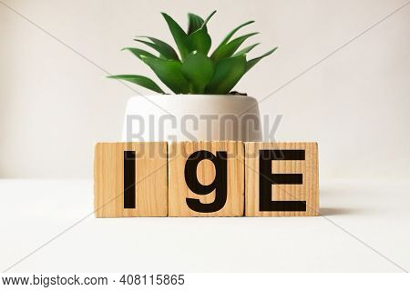 Word Ige On Wooden Blocks. Medical Concept . The Medicine