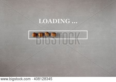 Loading Background With Hazelnuts In Progress Bar On Gray Background With Copy Space