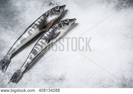 Raw Icefish On A Kitchen Table. White Background. Top View. Copy Space