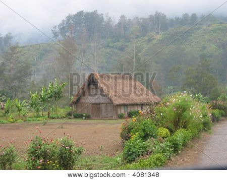 Papoea-Nieuw-Guinea Home