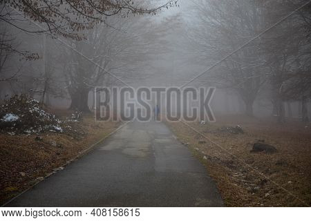 Man Walking On A Path In A Strange Dark Forest With Fog