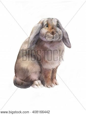 Easter Rabbit. Hand Drawn Sketch And Watercolor Illustrations. Watercolor Painting Funny Rabbit. Bab