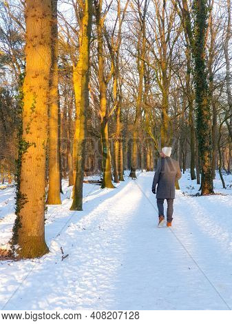 Sallandse Heuvelrug Natural Park Snow Covered During Winter Weather In The Netherlands By Holterberg