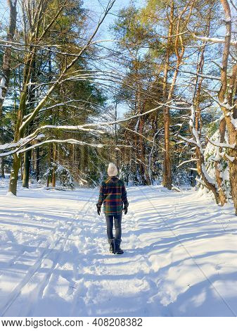 Sallandse Heuvelrug Natural Park Snow Covered During Winter Weather In The Netherlands By Holterberg