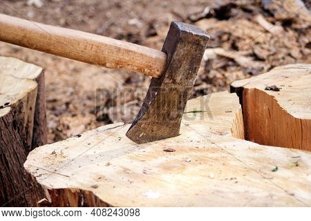 An Axe On A Wood, Tree Log. An Axe Stuck In A Log In Front Of A Pile Of Wood, Ready For Chopping And