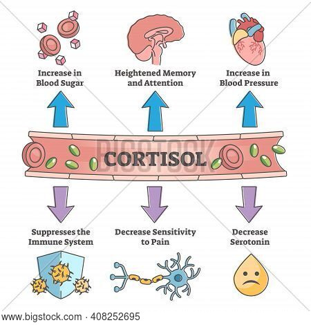 Cortisol Hormone Increased Or Decreased Level Symptom Scheme Outline Concept