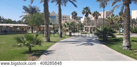 Manama, Bahrain - February 15 2021: Green Space With Palms And Other Local Plants In Al Andalus Gard