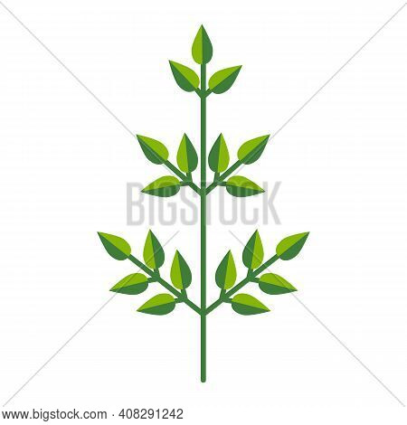 Simple Minimalistic Bright Green Branch With Leaves. Flower Collection Of Colorful Plants For Season
