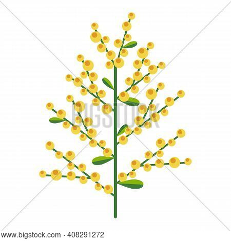 Simple Minimalistic Bright Green Branch With Leaves And Yellow Berries. Flower Collection Of Colorfu