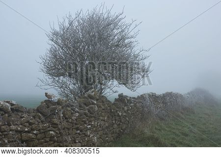 Winter Mist And Frost In The Woolley Valley, An Area Of Outstanding Natural Beauty In The Cotswolds 