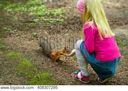 A Little Girl Feeds A Squirrel In The Forest In A Nature Park