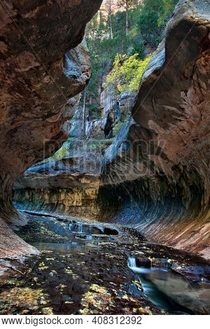 Vertical of small cascades and pools at the entrance to the Subway, a unique tunnel scuplted by the Left Fork of North Creek in Zion National Park, Utah