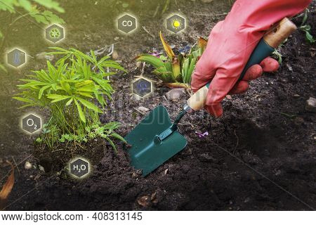 Role Temperature, Humidity, Precipitation, Sunlight And Other Natural Factors In The Process Of Plan