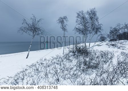 Birch Trees On A Snow-covered Beach. Breakwater And Two Small Lighthouses In The Background. Winter 