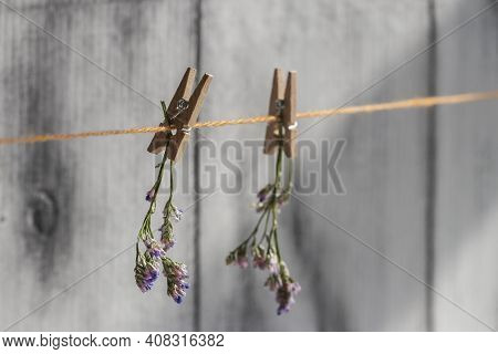 Delicate Little Twigs Of Limonium Safora Hanging On A Rope With Clothespins.