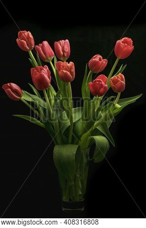 A Bouquet Of Bright Red Tulips On A Black Background Is Photographed In A Studio.