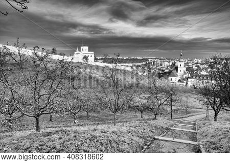 View From Petrin Park On Prague City At  Sunset, Czech Republic. Aerial Panoramic View Of The Histri
