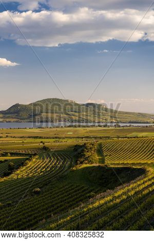 Spring vineyards under Palava near Sonberk, South Moravia, Czech Republic