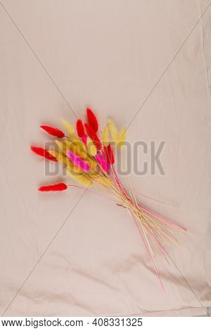 A Multicolored Dry Twigs Spikelet In A Bouquet On A White Background