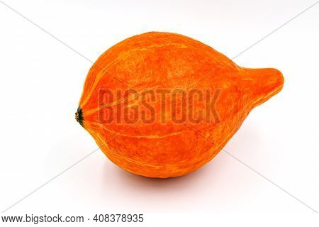 Pumpkin Isolated On White Background. Autumn Food. Fresh Single Ripe Pumpkin. Natural Squash For Hal