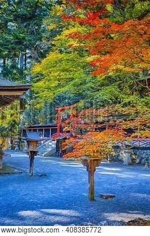 Tradtional Japanese Torii Gates Of Shinto Shrine With Wooden Lanterns At Koyasan Mountain At Fall.