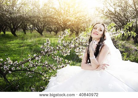 Kaunis morsian blossom puutarhassa