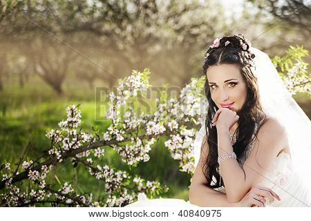 Kaunis morsian blossom puutarhassa