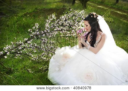 Kaunis morsian blossom puutarhassa