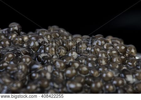 Caviar, Sturgeon's Eggs Caviar, Sturgeon's Eggs Caviar, Sturgeon's Eggs