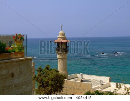 Jaffa