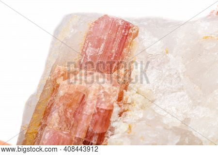 Macro Mineral Stone Tourmaline In The Breed A White Background