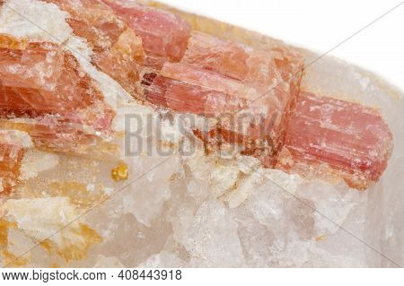 Macro Mineral Stone Tourmaline In The Breed A White Background