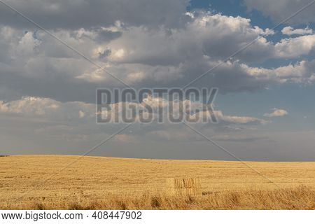 Beautiful Couples, Fields And Landscapes Of The Cordoba