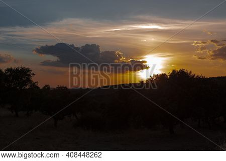 Beautiful Couples, Fields And Landscapes Of The Cordoba