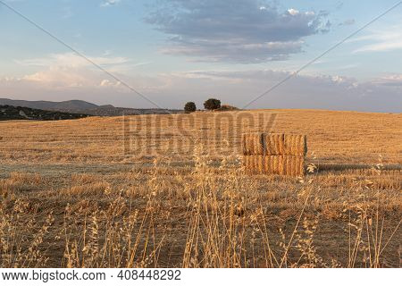 Beautiful Couples, Fields And Landscapes Of The Cordoba