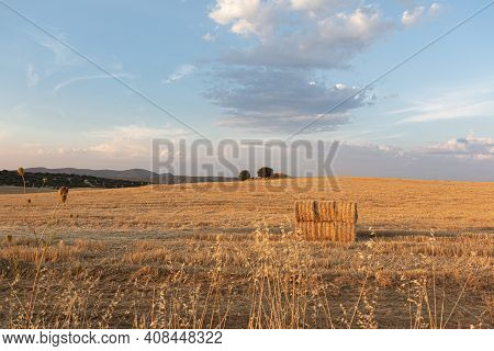 Beautiful Couples, Fields And Landscapes Of The Cordoba
