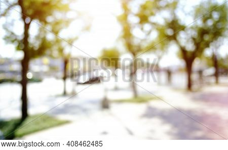 Blurred Park, Natural Background And Sunset Photo