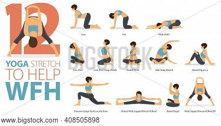 Infographic 12 Yoga Poses For Workout In Concept Of Stretch To Help Wfh In Flat Design. Women Exerci