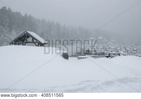 Snowy Landscape On Vancouver Island, British Columbia, Canada