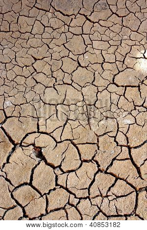 Dryness