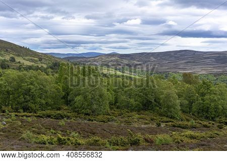 Beautiful Scenery Along The Way From Inverness To Aviemore , Scotland
