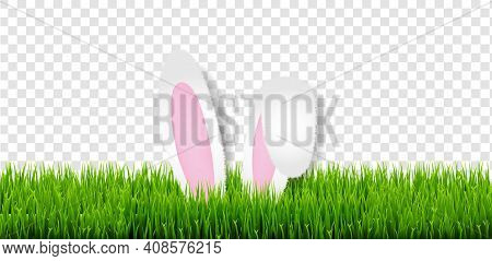 Easter Card With Easter Grass And Bunny Ears Transparent Background With Gradient Mesh, Vector Illus